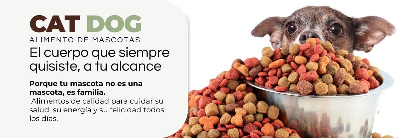 PLANTILLAS TIENDA Y HOGAR (3)