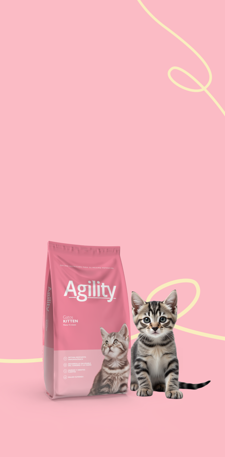 AGILITY GATO Kitten / Urinary x 10 kgs. - Imagen 3