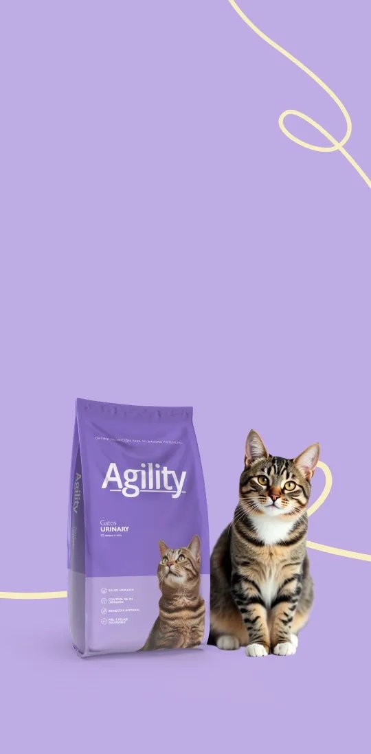 AGILITY GATO Kitten / Urinary x 10 kgs. - Imagen 4