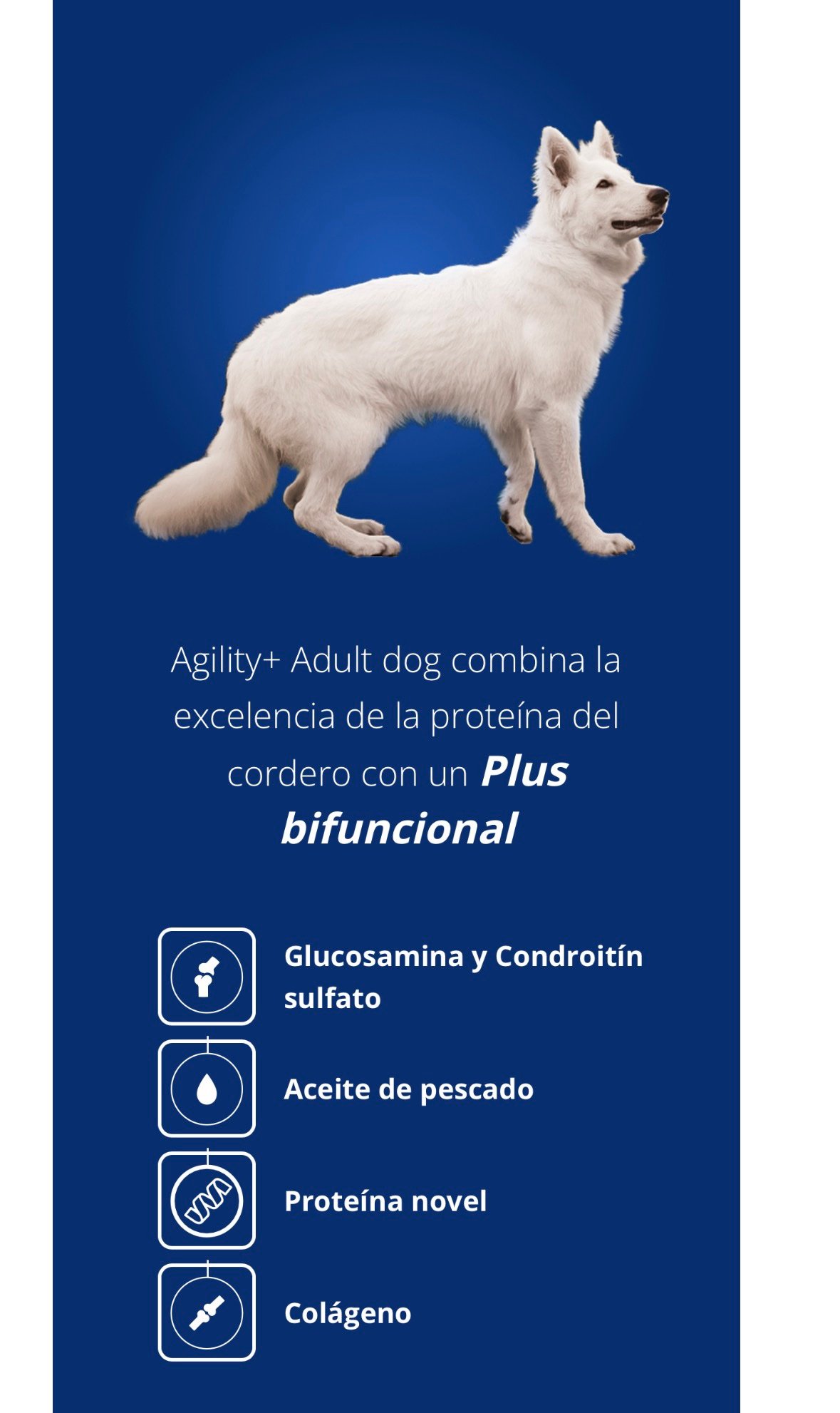AGILITY PERRO Adulto Cordero y Arroz x 1,5 kgs. - Imagen 5